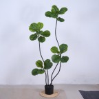 Cây cảnh giả Ficus 150cm 4 đầu